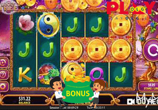 playcanadiangames.com playolg casino roulette